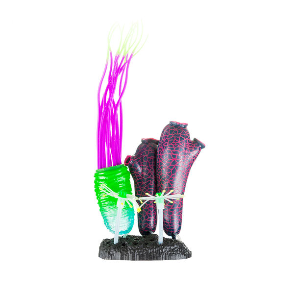 Асцидии с анемоном с распылителем в цвете 11х7х12см