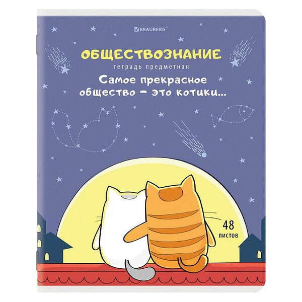 Тетрадь Brauberg Кот-Энтузиаст Обществознание предметная клетка 48 листов, 115г