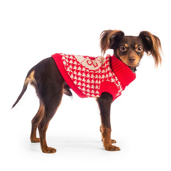 Свитер для собак 55см 4XL красный (унисекс)