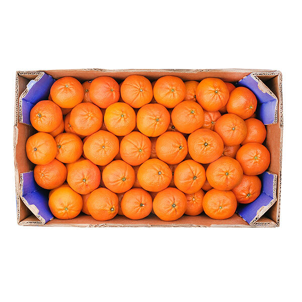 Мандарины (Турция) ОПТ