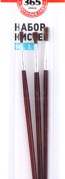 Набор кистей 365 ДНЕЙ № 1, 3, 5, 3шт
