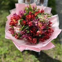 Изображение 5