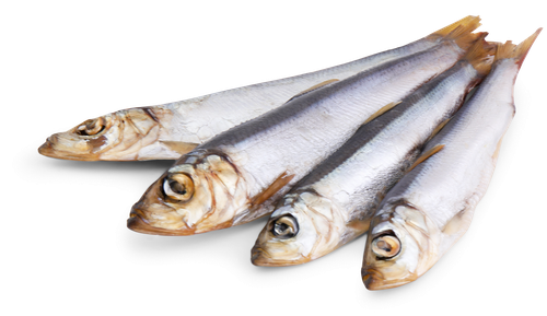 

Салака холодного копчения Экстра Фиш неразделанная, весовая