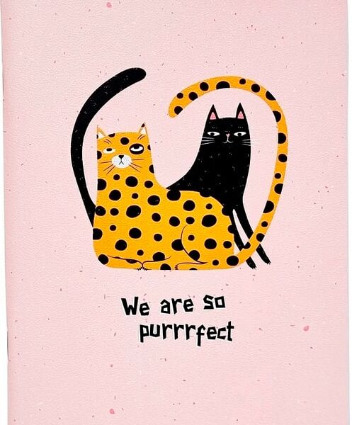 Тетрадь общая Be Smart Silly Кот и леопард 150*210мм клетка 48л