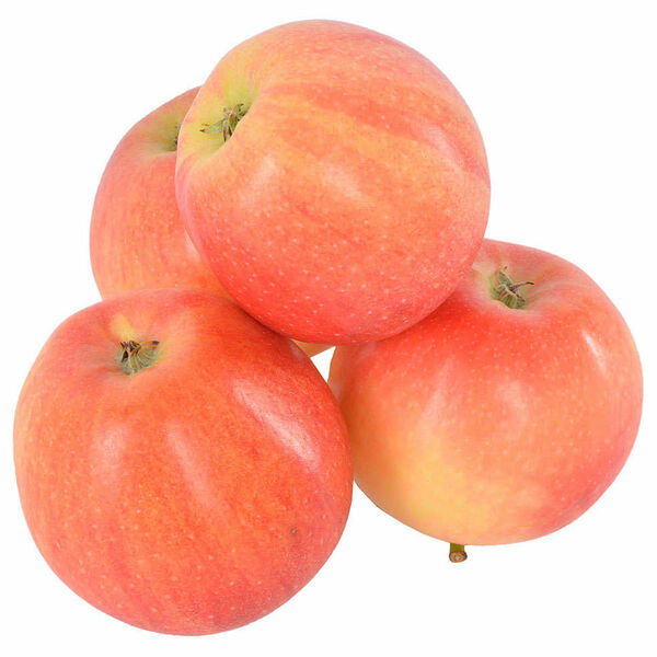 Яблоки Гала