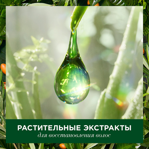 

Шампунь для волос Herbal Essences Марокканское аргановое масло 400 мл
