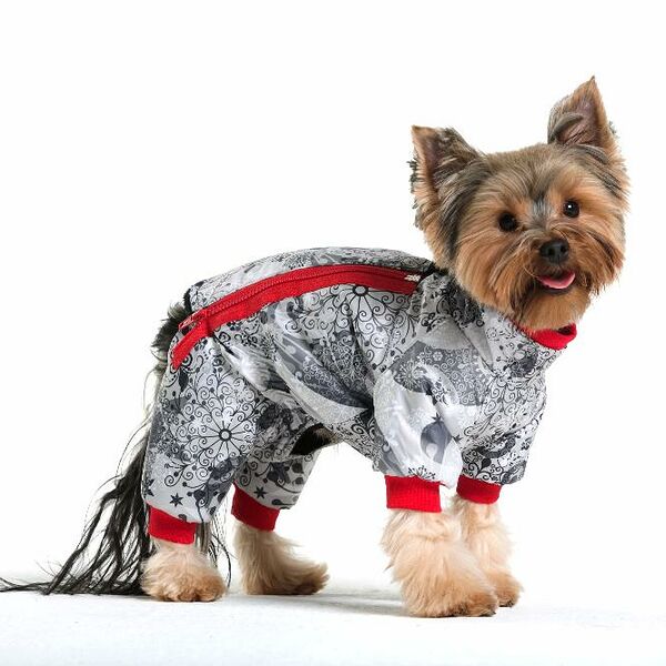 Комбинезон для собак Зимнее кружево S (мальчик)