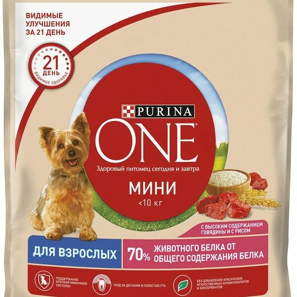 Корм сухой Purina One Мини с говядиной и рисом для взрослых собак 600г