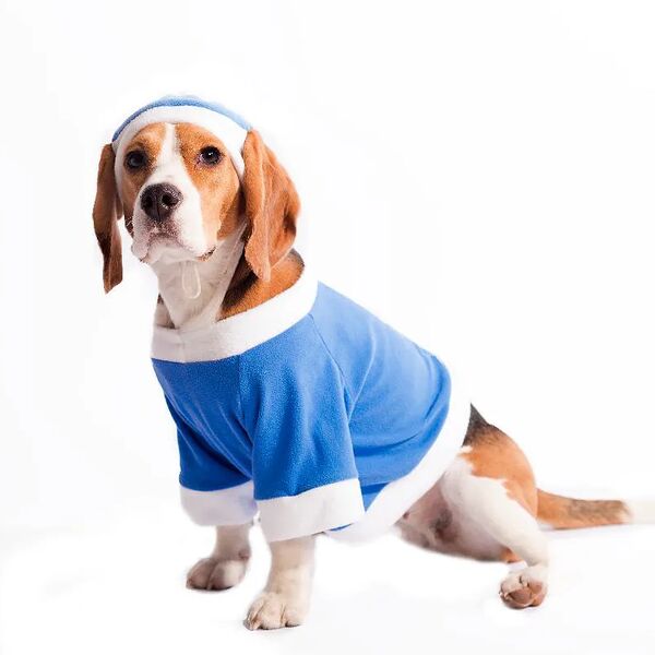 Пуловер для собак Снегурочка S голубой (унисекс)