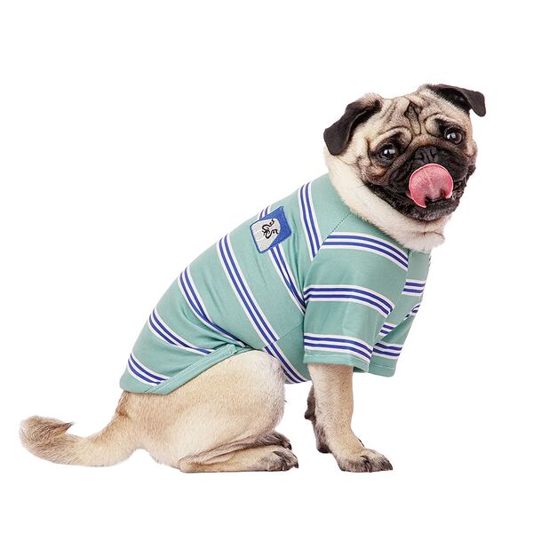 Футболка для собак XL зеленый (унисекс)