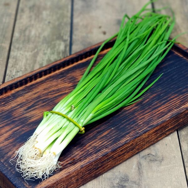 Лук зеленый