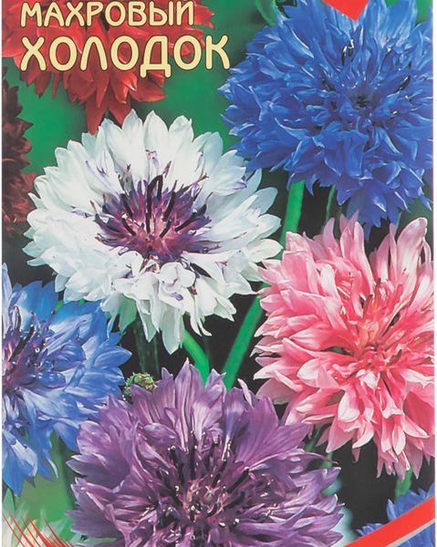 Семена Василек Холодок