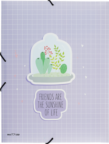 

Папка на резинке Meshu SucCutElent А4, в ассортименте