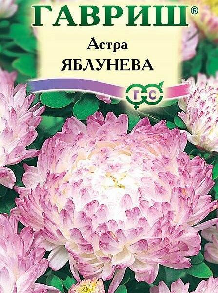 Семена ГАВРИШ Астра Яблунева пионовидная
