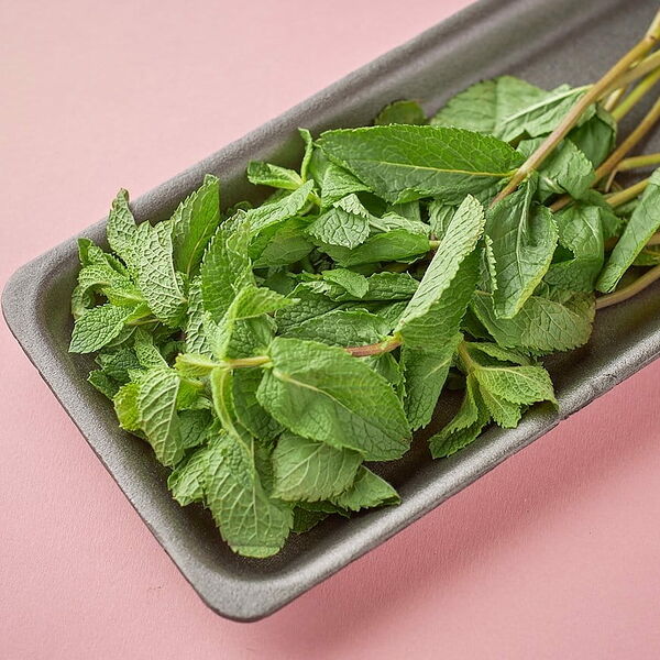 Мята Израиль