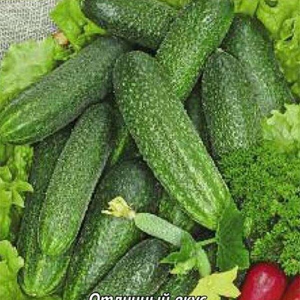 Семена Огурец Дворянский ТМ Поиск