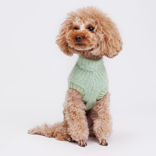 Свитер для кошек и собак, L, зеленый