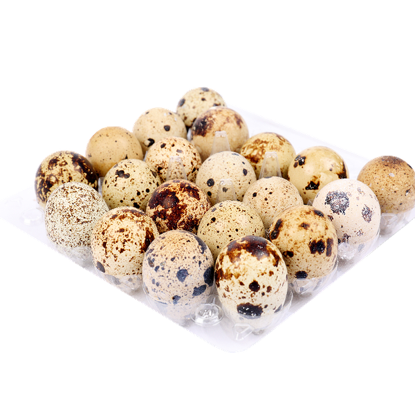 Яйца перепелиные 20 шт.