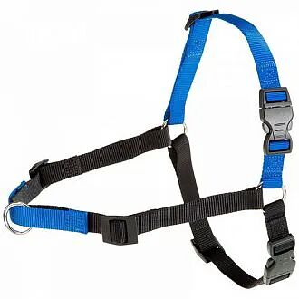 Шлейка COACH P M-L синяя с кольцом спереди