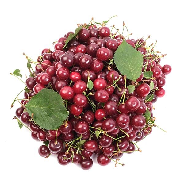 Вишня свежая