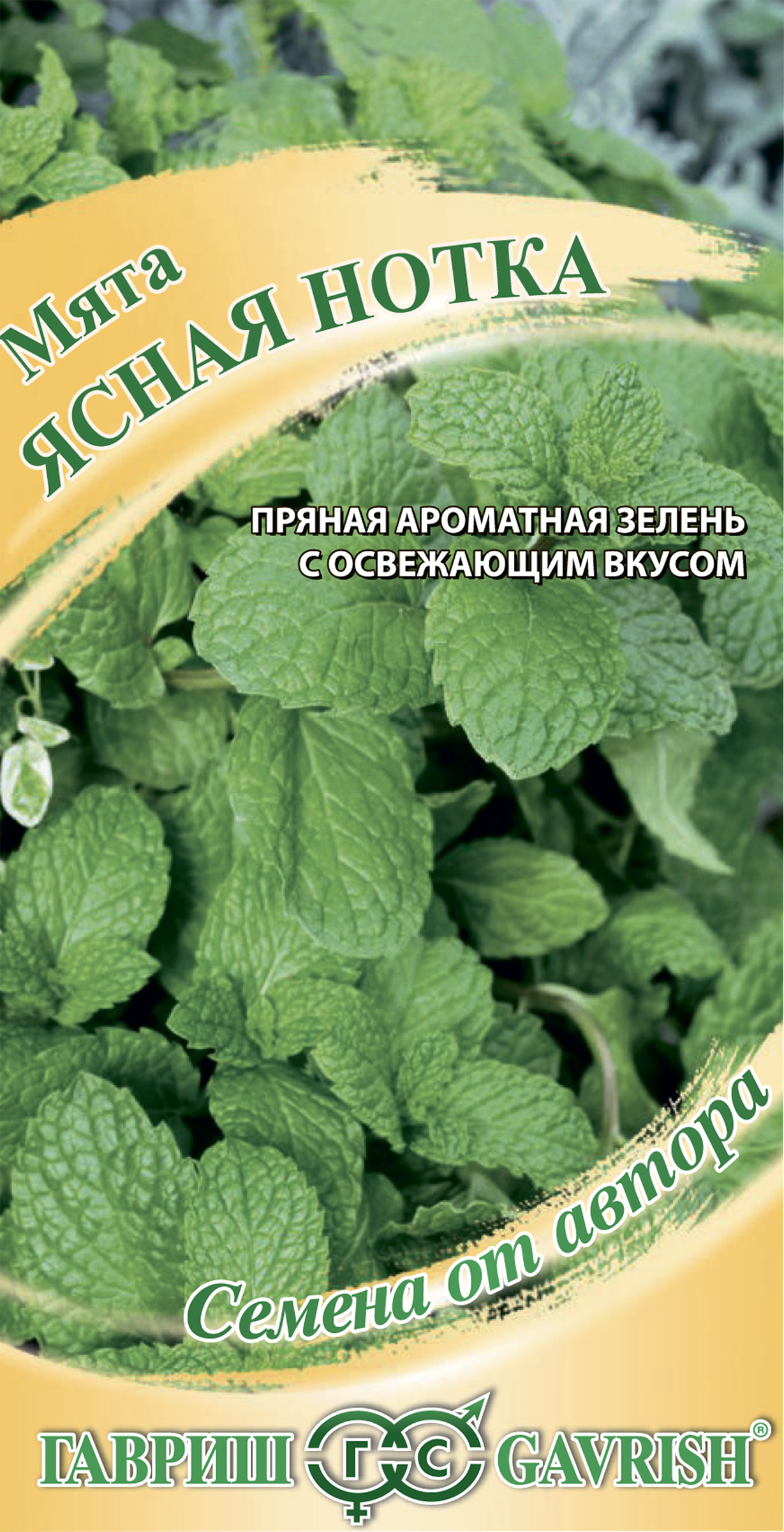 

Семена ГАВРИШ Семена от автора, Мята Ясная нотка, Арт. 191223958, 0.05 г