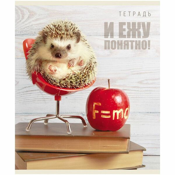 Тетрадь общая Magic Lines Тайная жизнь ежей в клетку 48 листов