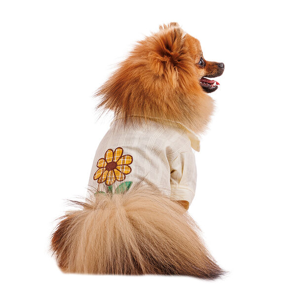 Футболка с цветком для собак Pure Sun S белый (унисекс)