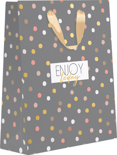 

Пакет подарочный Party 25.5х31.5х11 см, люкс в ассортименте 1 шт.