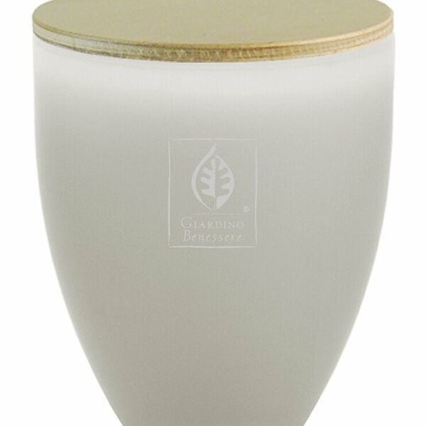 GIARDINO BENESSERE White Musk Свеча в белом стекле, 255 г