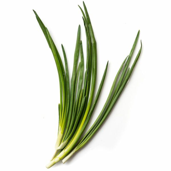 Лук зеленый упаковка