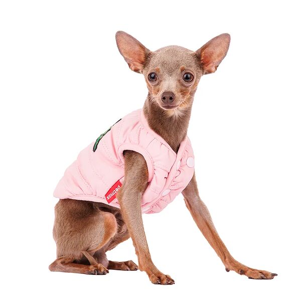 Жилетка для собак с дракошей XS (унисекс)