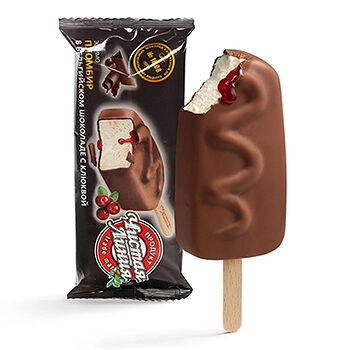 Мороженое-пломбир Чистая линия Бельгийский шоколад клюква