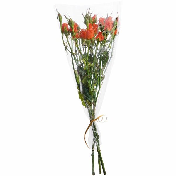 Монобукет Новая Голландия Роза кустовая, 3шт