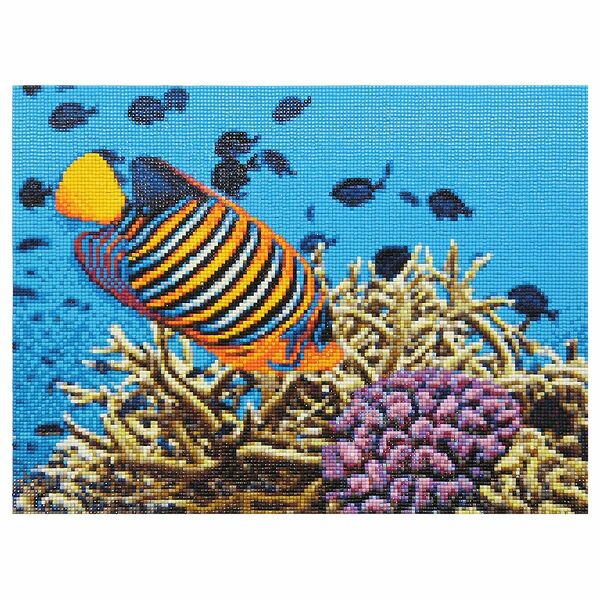 Cr 430050 Алмазная мозаика 'Рыбки', 40*30см, Cristyle