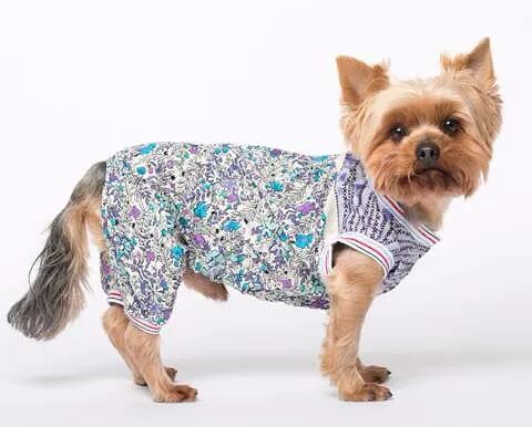 Комбинезон для собак Пляжный S синий (унисекс)