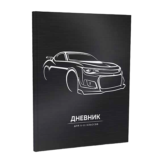 Дневник школьный Academy Style глянцевая ламинация