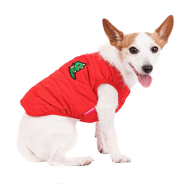 Жилетка для собак с дракошей L (унисекс)