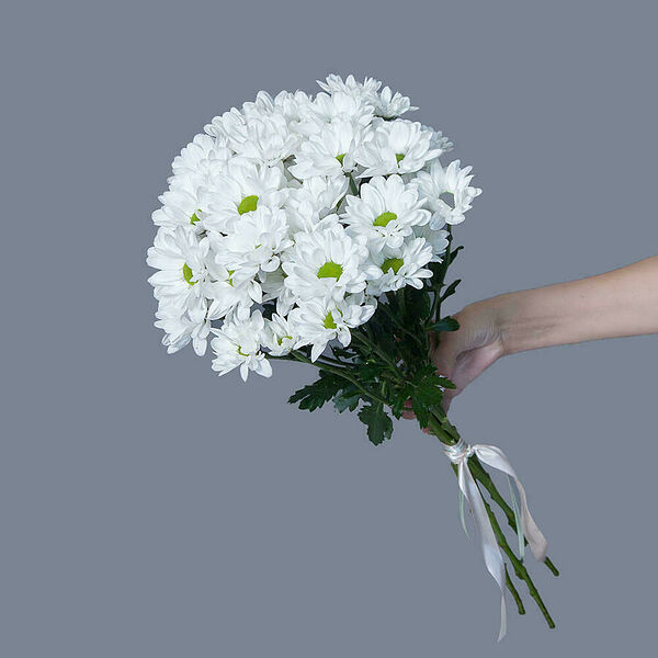 Монобукет из 5 кустовых белых Хризантем под ленту