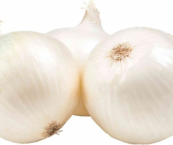 Лук белый
