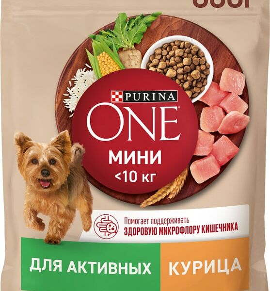 Сухой корм для собак Purina ONE для мелких пород с активным образом жизни с курицей и рисом 600г