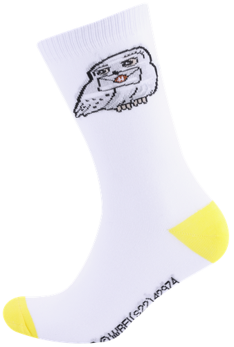 

Носки женские WB Harry Potter р. 23–27, Арт. ЖЕН-23-798, 2пары