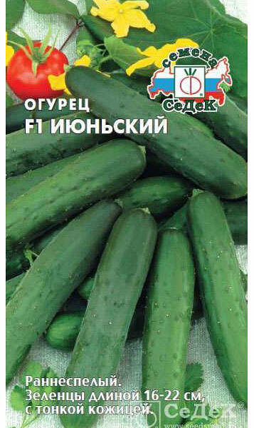 Семена Огурец Июньский F1 ТМ СеДеК