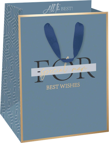 

Пакет подарочный Diplomat, 14х19х11см, с тиснением Арт. SMT