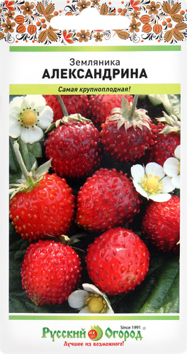 

Семена Русский Огород Земляника Александрина 0.05 г