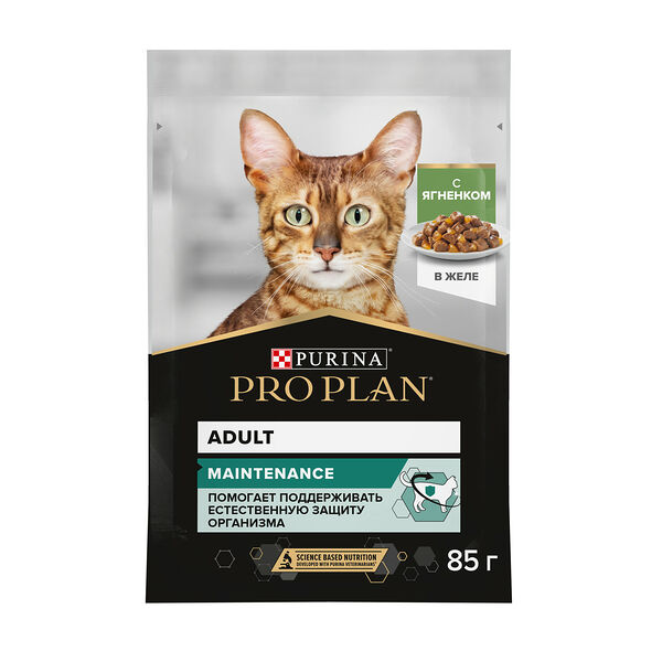 Влажный корм PRO PLAN® MAINTENANCE для взрослых кошек, с ягненком в желе