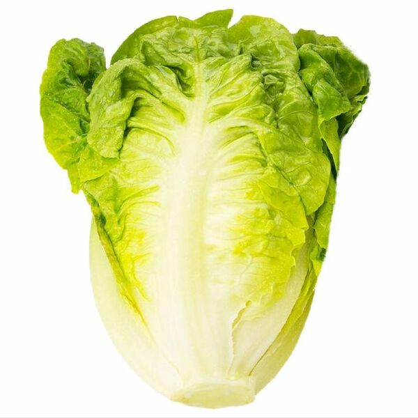 Салат романо 500г