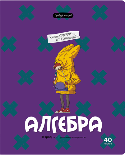 

Тетрадь BG Правда жизни алгебра, 40 листов
