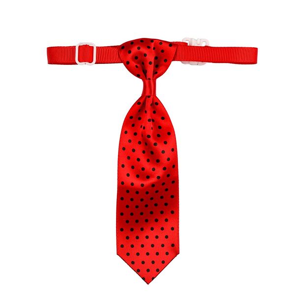 Галстук красный черные точки