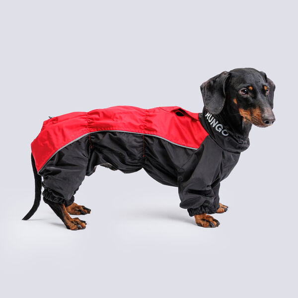 Комбинезон Rungo теплый для средней таксы, 42x36x52 см, красный-черный (мальчик)