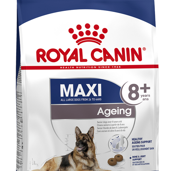 Корм для пожилых собак крупных пород старше 8 лет Royal Canin Maxi Ageing 8+